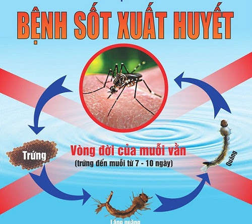 BÀI TUYÊN TRUYỀN PHÒNG CHỐNG SỐT XUẤT HUYẾT